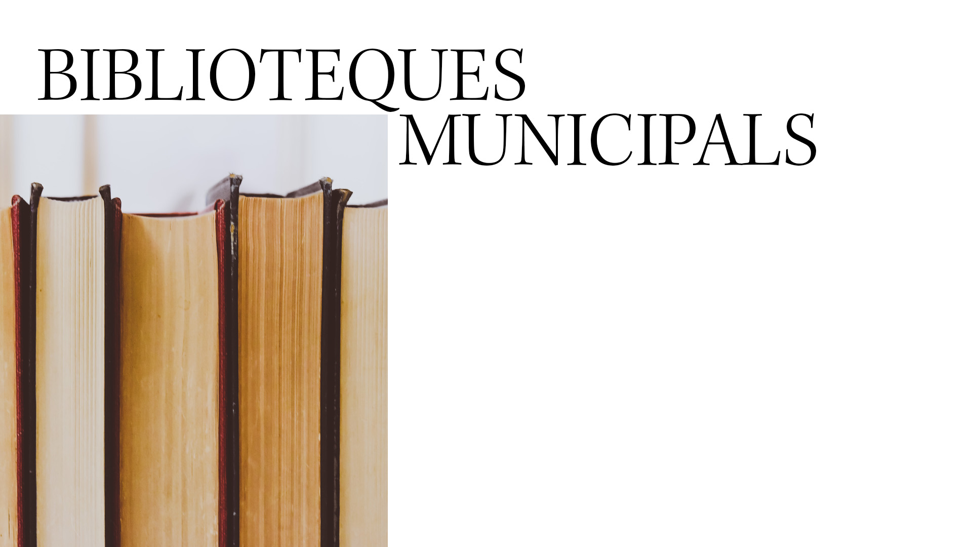 Biblioteques Municipals: programació
