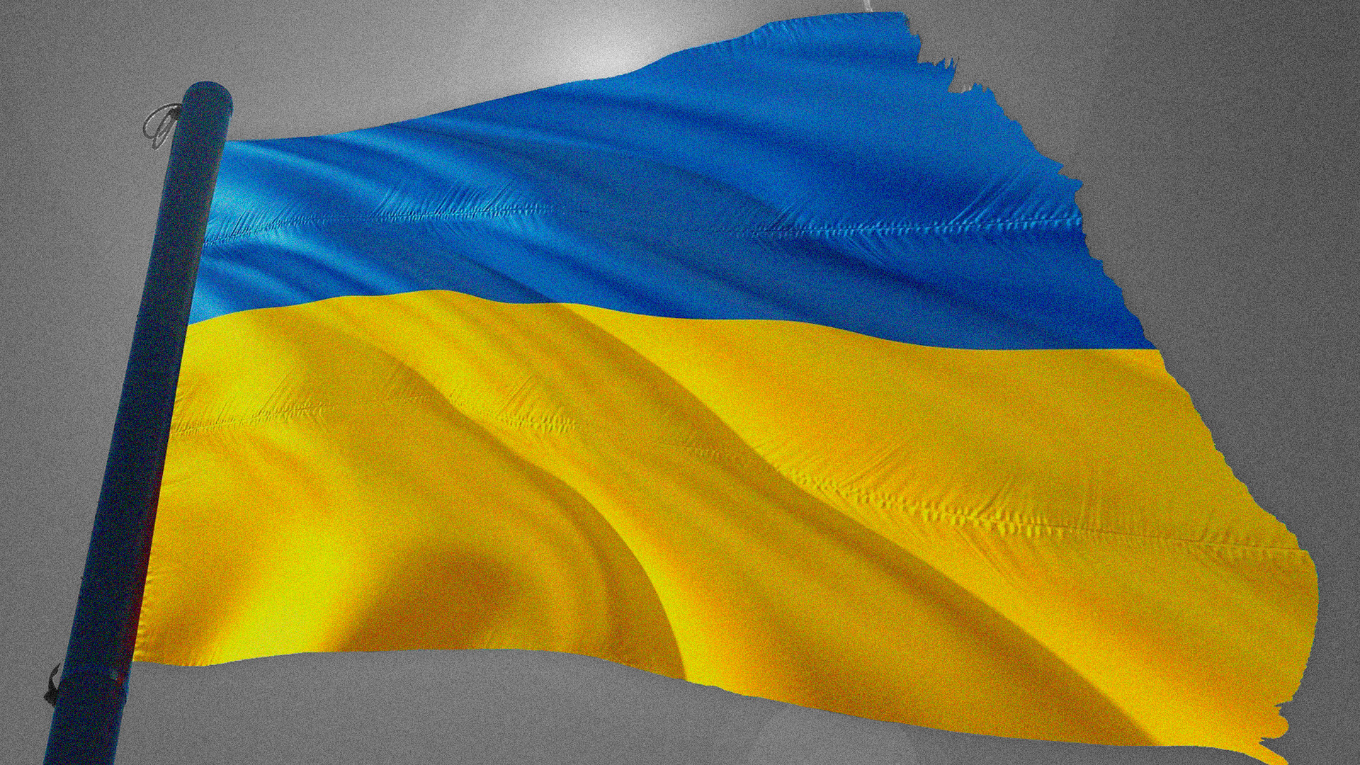 Ayuda humanitaria a Ucrania