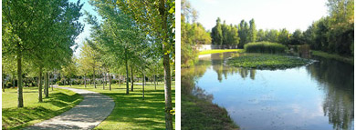 Omeda i estany en el parc