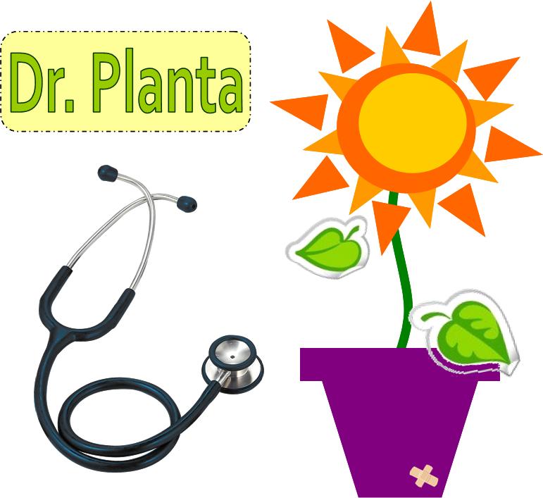 Dr. Planta