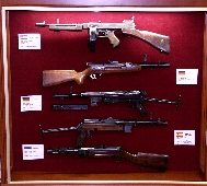 Vitrina con diferentes tipos de armas